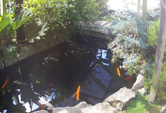 Pond2