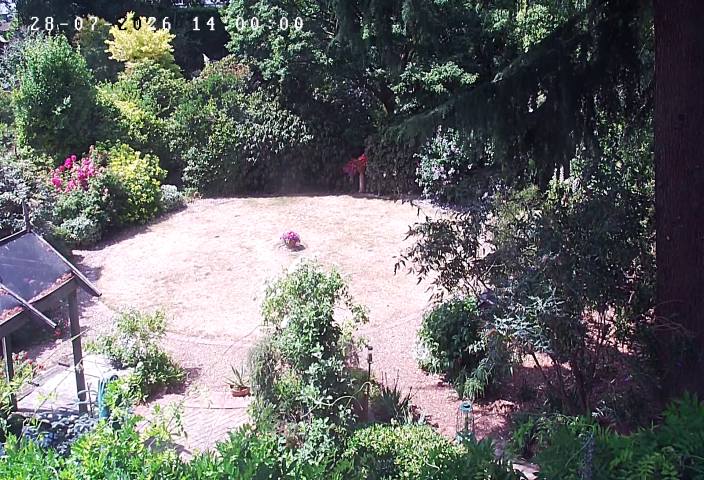 Garden Lawn