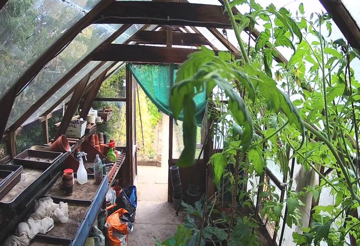 Greenhouse